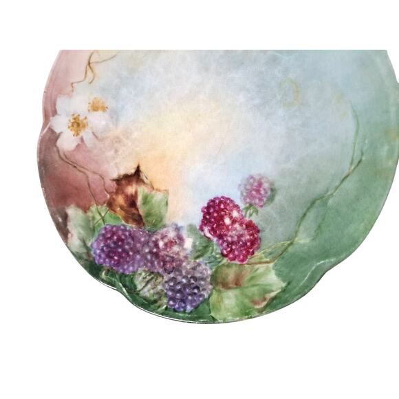 Antique J&C Louise Bavaria 1898-1923 Raspberry Black Berry Fruit Blossom Plate - Picture 2 of 12